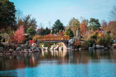 Grand Rapids Michigan 'daki Japon bahçelerindeki köprünün manzara görüntüsü.