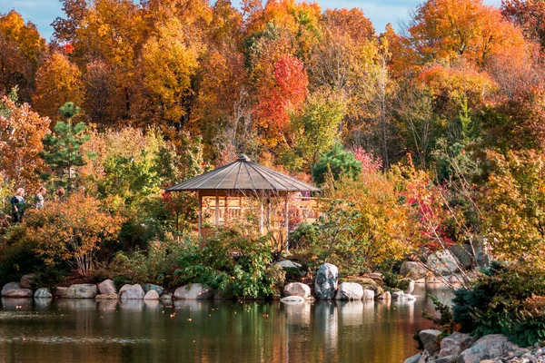 Beautiful Shot Gazebo Lake Japanese Gardens Frederik Meijer Gardens Autumn — 스톡 사진