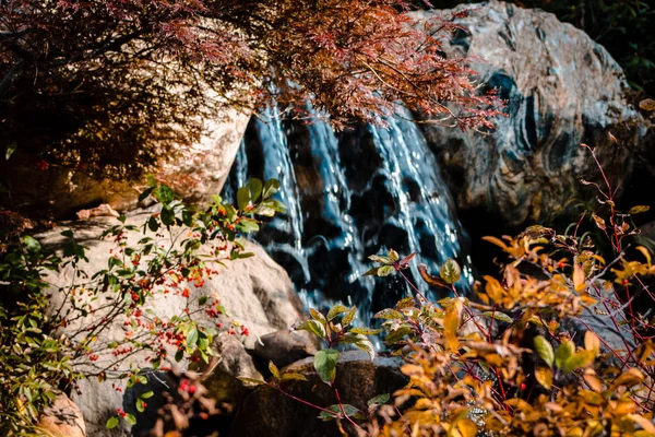 Cascata Sparato Attraverso Fogliame Caduta — Foto Stock