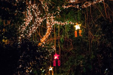 Christmas lights in the tropical gardens in the Frederik Meijer Gardens clipart