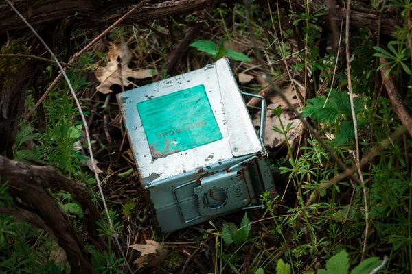 Geocache bir bahar günü ormanda saklanıyor.