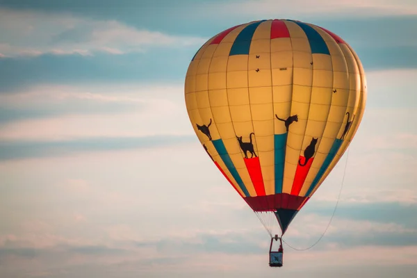 空を飛ぶ熱気球猫 — ストック写真