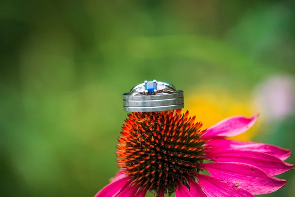 Close Wedding Rings Resting Purple Cone Flower — Stock Photo, Image
