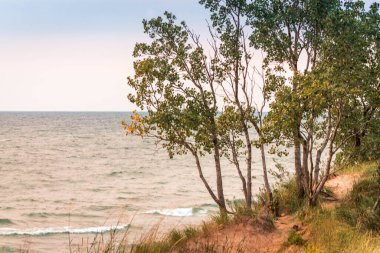 Michigan Gölü Saugatuck Michigan 'ın kum tepelerinden