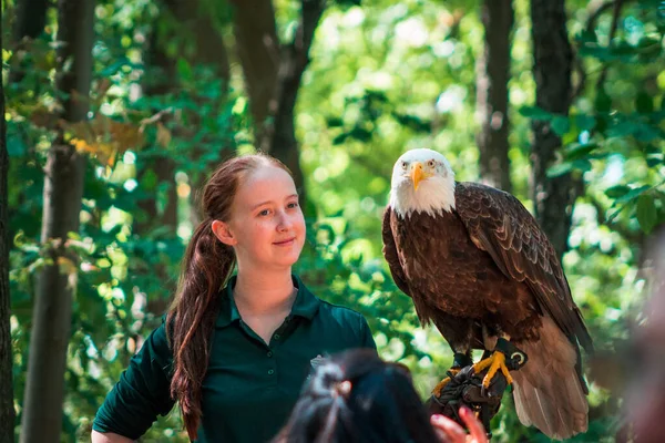 Kollarında kel bir kartal olan hayvanat bahçesi bakıcısı Grand Rapids Michigan 'daki John Ball Hayvanat Bahçesi' nde.