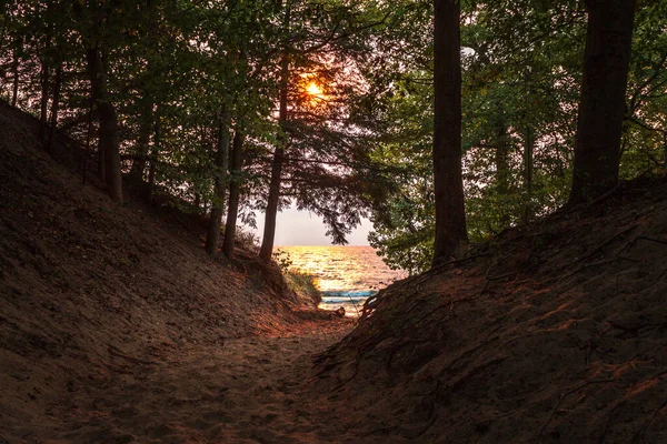 Sunset Danau Michigan Ditembak Melalui Bukit Pasir Dan Pohon Pohon — Stok Foto