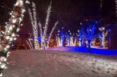 Rosa Parkları Çemberinde ağaçlar parlıyor