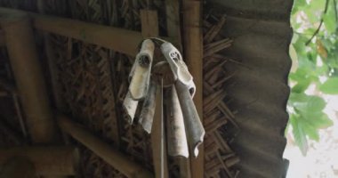 Bali bambu kulübe kahve bir çiftlikte