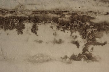 Soyut kirli ıslak duvar dokulu