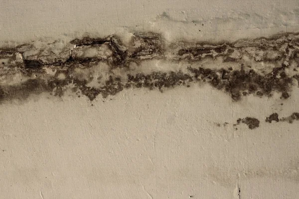 Dirty wet wall textured