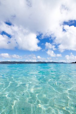 Japonya, Okinawa 'daki uzak Zamami adası.
