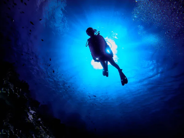 Women who enjoy diving in the clean sea