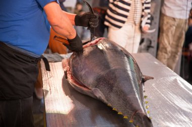 Hakata Japon Ton Balığı Yıkım Şovu