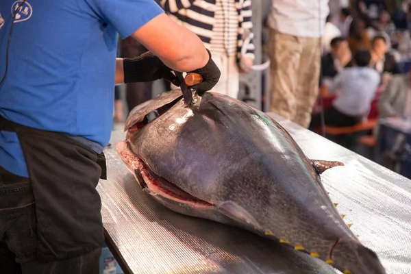 Hakata Japan Tuna Demolition Show — Stock fotografie