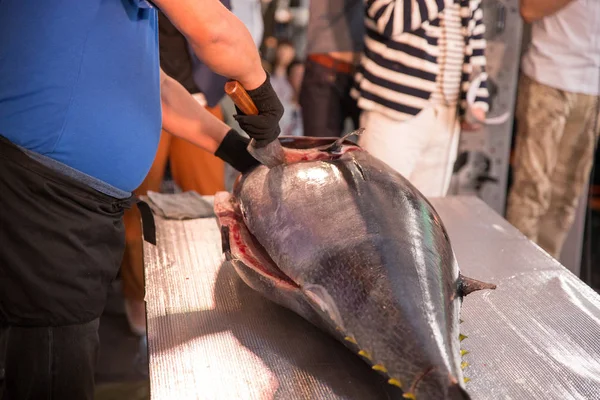 Hakata Japan Tuna Demolition Show — Stock fotografie