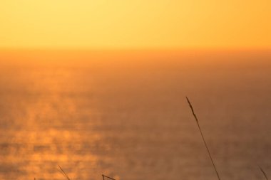 Japon denizinde batan portakalda parlayan batan güneş.