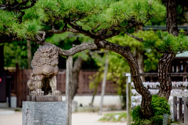 Fukuoka şehrindeki Sumiyoshi Tapınağı, Fukuoka Bölgesi — Stok fotoğraf