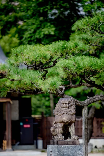 Fukuoka şehrindeki Sumiyoshi Tapınağı, Fukuoka Bölgesi — Stok fotoğraf