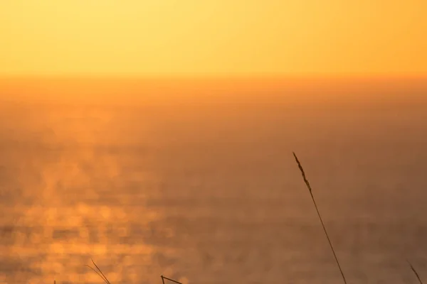 Japon denizinde batan portakalda parlayan batan güneş.