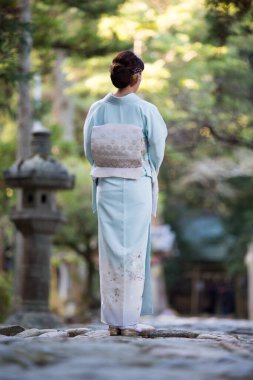Kyoto 'daki bir tapınakta çekilmiş kimono giyen bir Japon kadının arka görüntüsü.