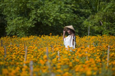 taze turuncu kadife çiçeği çiçek alan doğal peyzaj güzelliği zevk geleneksel şapka giymiş mutlu ve güzel genç Asyalı kadın heyecanlı