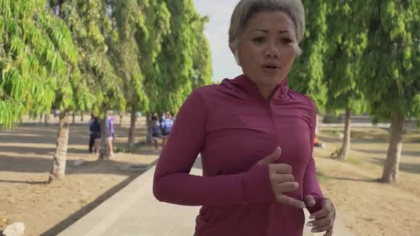 慢动作吉姆巴尔跟踪镜头拍摄迷人的中年女士在城市公园快乐地奔跑 40多岁的美女和运动健美的女人做慢跑锻炼 享受健康的生活方式和健康的身体 — 图库视频影像
