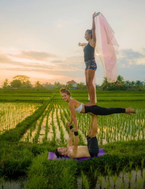 Fitness ve arkadaşlık. Genç, mutlu ve çekici arkadaş grubu pirinç tarlasında dengede akro yoga yapıyorlar. Gün batımının güzel turuncu gökyüzü ile birlikte.