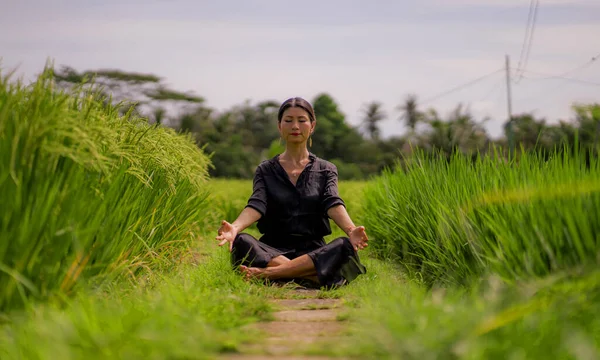 Livre Ioga Meditação Campo Arroz Atraente Feliz Meia Idade Asiática — Fotografia de Stock