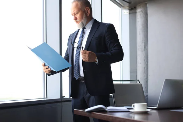 Ernstige volwassen Business man in formalwear lezen contract terwijl staande in de buurt van het raam in het kantoor. — Stockfoto