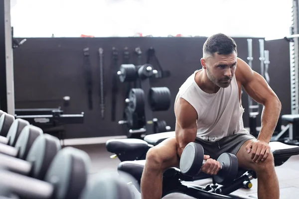 Alkalmas Izmos Férfi Csinál Bicepsz Edzés Súlyzókkal Tornateremben Másolás Hely — Stock Fotó