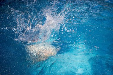 Aydınlık bir yaz gününde havuz suyuna atlamak.