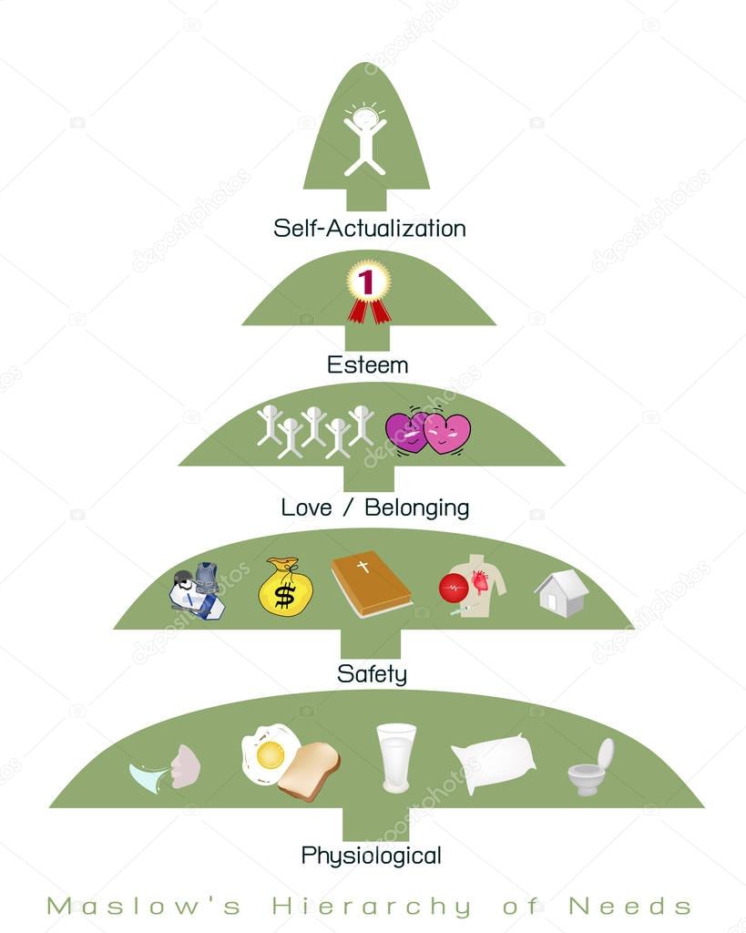 Food Hierarchy Chart