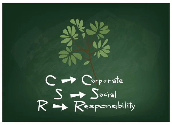Εταιρική κοινωνική ευθύνη έννοιες στον πράσινο πίνακα κιμωλίας — Διανυσματικό Αρχείο