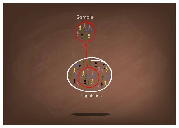Research Process Sampling from A Target Population — Stock Vector ...