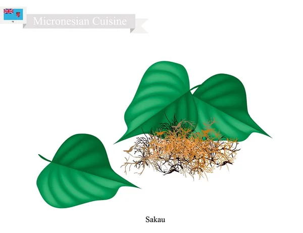 萨考或胡椒与密克罗西亚的植物的根 — 图库矢量图片