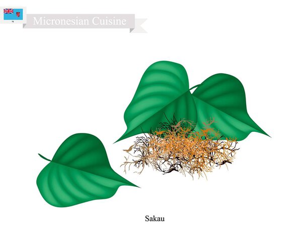 Sakau or Piper Methysticum with Roots, Plant of Micronesia
