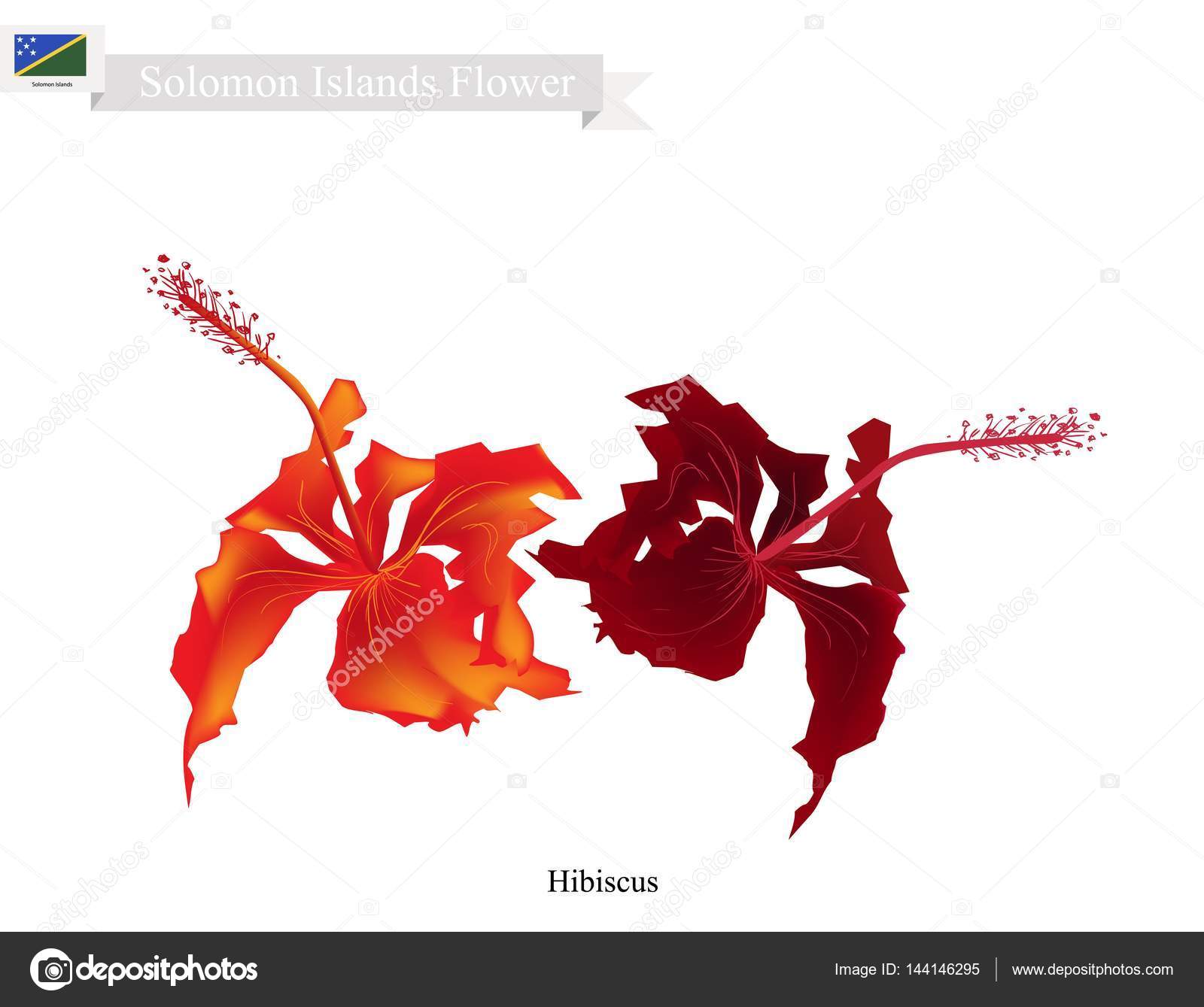 Download Solomon islands national flower | National Flower of ...