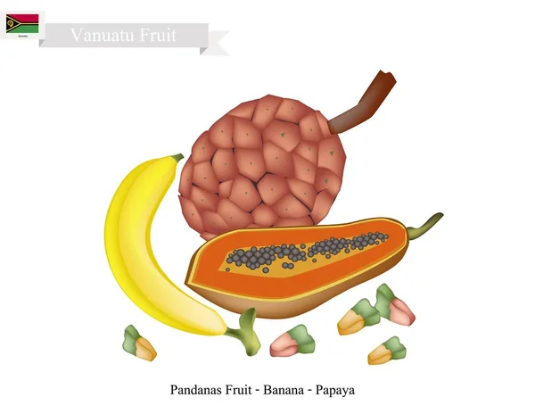 Mamão, Banana e Pandanas Frutas, Frutas famosas em Vanuatu — Vetor de Stock