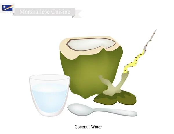 Кокосовая вода, знаменитый напиток на Маршалловых островах — стоковый вектор