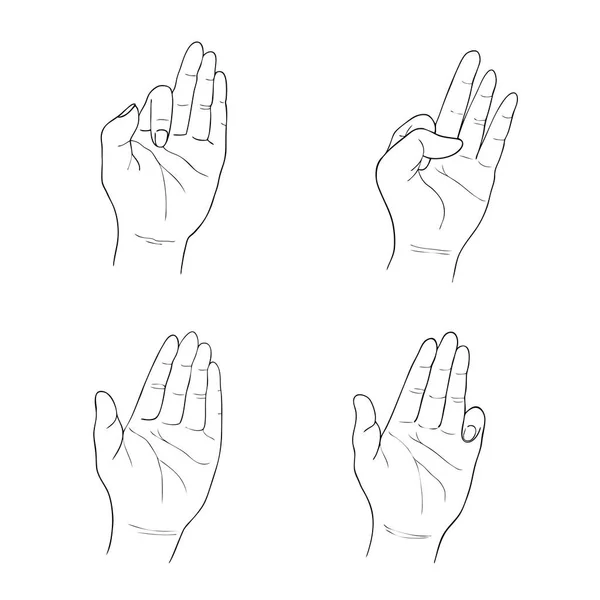 Ensemble de croquis gestes de la main humaine sur fond blanc — Image vectorielle