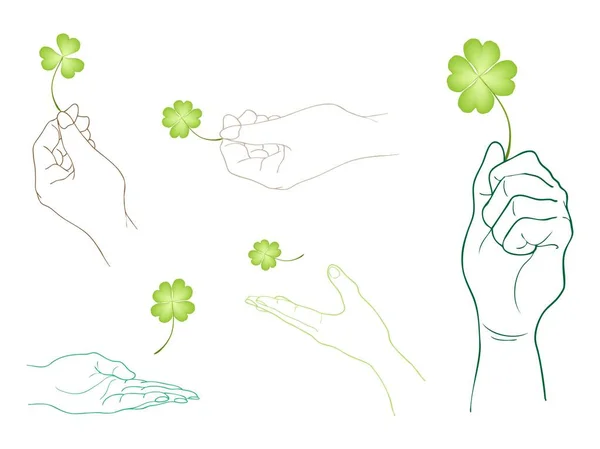 Hand Holding Four Leaf Clovers on White Background — Stock Vector