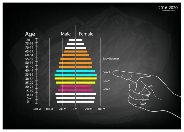 Señalización manual 2016-2020 Pirámides de población Gráficos con 4 generaciones — Vector de stock