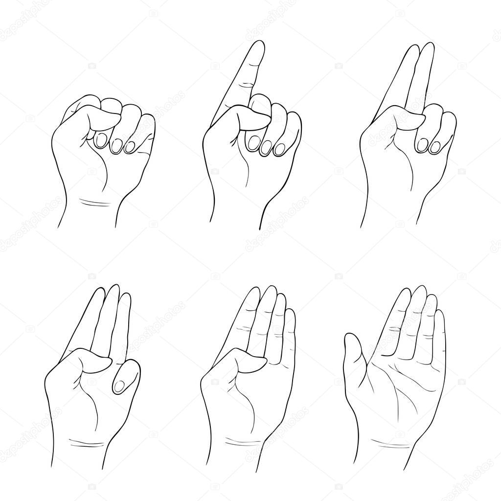 Set of Sketch Human Hand Counting Hand Sign