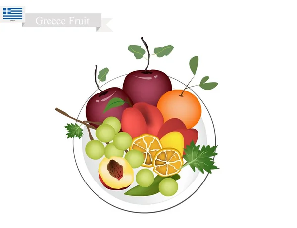 Ελιά, μήλο, Ασύρτικου, πορτοκαλί και τα ροδάκινα της Ελλάδας — Διανυσματικό Αρχείο