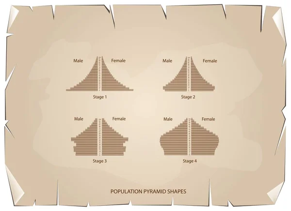 Cuatro tipos de pirámides de población sobre fondo de papel antiguo — Vector de stock