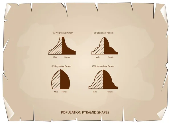 Arka plan eski nüfus piramitleri dört tür kağıt — Stok Vektör