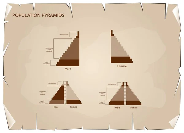 Détail des pyramides de population Les graphiques dépendent du vieux fond de papier — Image vectorielle