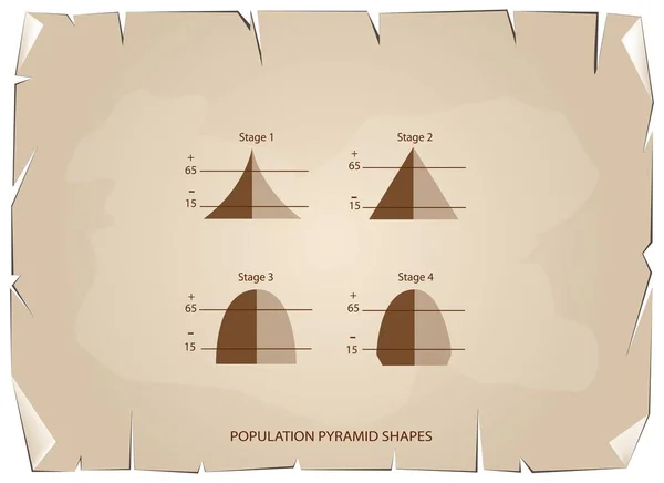 Quatro tipos de pirâmides populacionais em fundo de papel antigo — Vetor de Stock