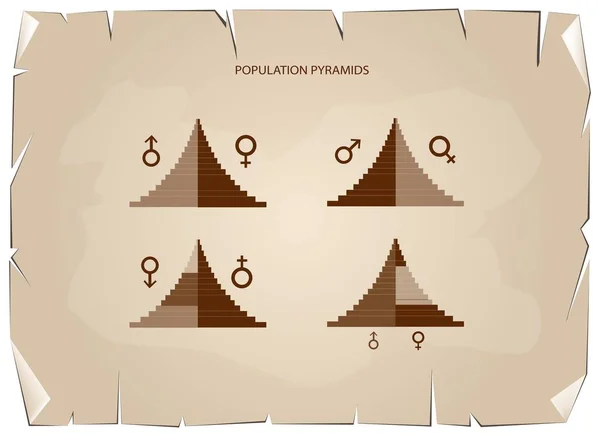 Dettaglio dei grafici delle piramidi della popolazione dipende dall'età e dal sesso — Vettoriale Stock