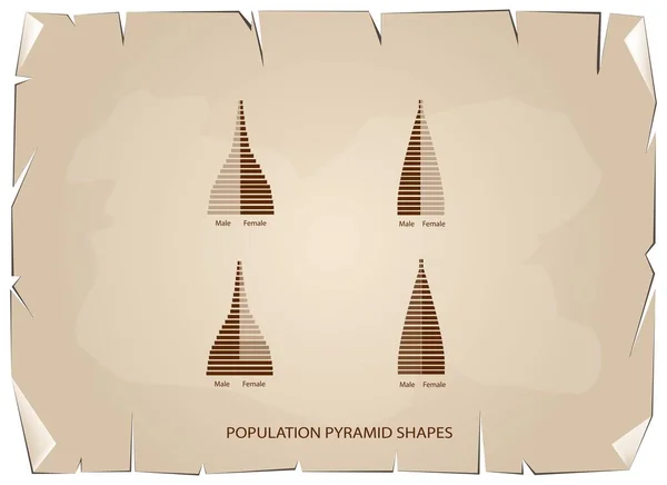 Los 4 tipos de gráficos de pirámides de población — Vector de stock